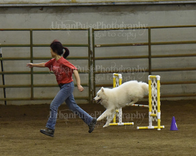 SCA2016_AG MON JWW NOVICE-1201