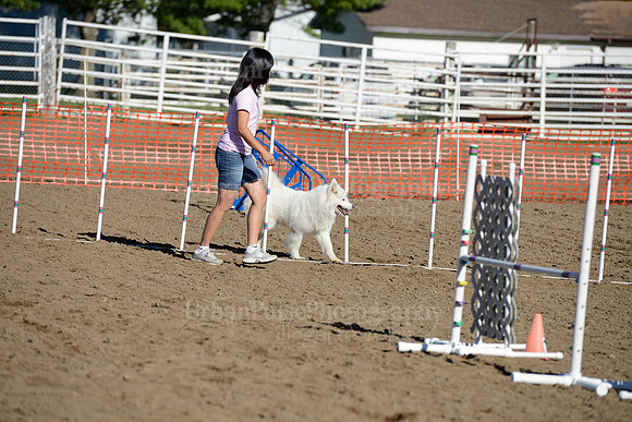 AGILITY-1853
