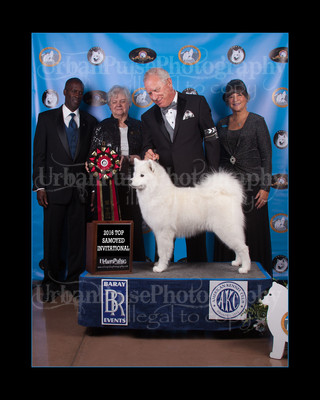 2016 TOP S AWARD-8538