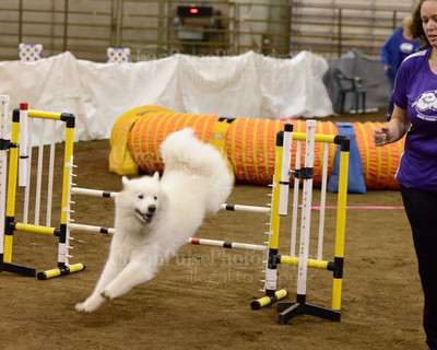 SCA2016_AG MON FAST NOVICE-3582