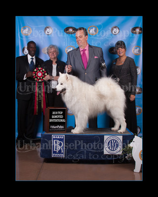 2016 TOP S AWARD-8546