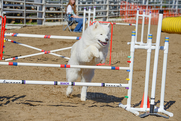 AGILITY-2120