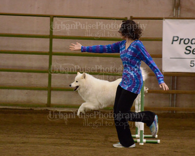 SCA2016_AG MON FAST NOVICE-3561