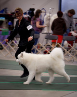 DBEX-0729