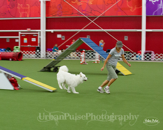 AGILITY_9456
