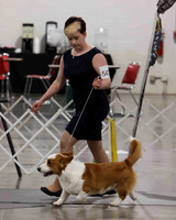 CWCCA MEGAN RED-SABLE D-2749