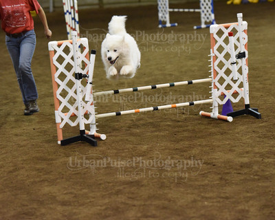 SCA2016_AG MON JWW NOVICE-1205