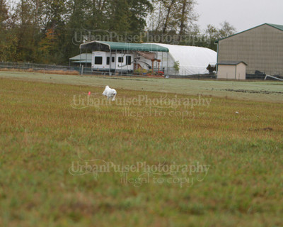 SCA2016_LURE COURSING-7439