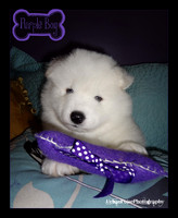 MARLOWE 5 WKS-DSC00081