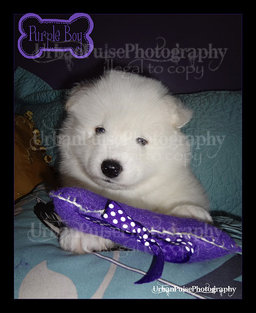 MARLOWE 5 WKS-DSC00081