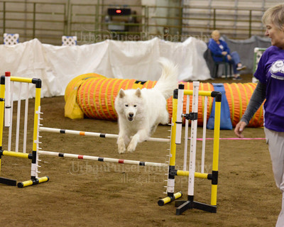 SCA2016_AG MON FAST NOVICE-3569
