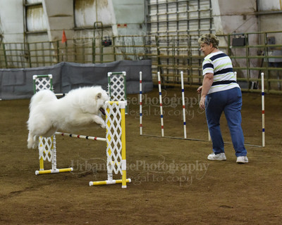 SCA2016_AG MON FAST NOVICE-0131