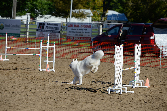 AGILITY-1991