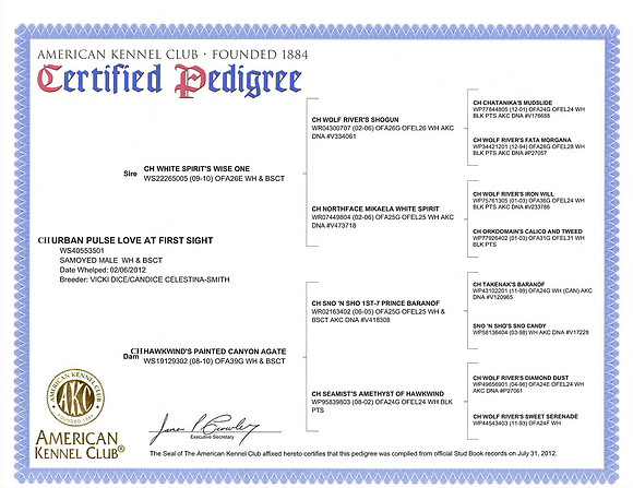 MARLOWE PEDIGREE