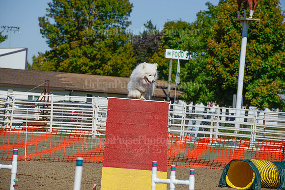 AGILITY-2369