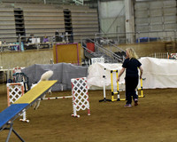 2016 AGILITY MON FAST NOVICE
