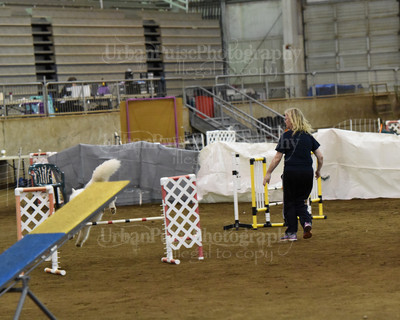 SCA2016_AG MON FAST NOVICE-0127