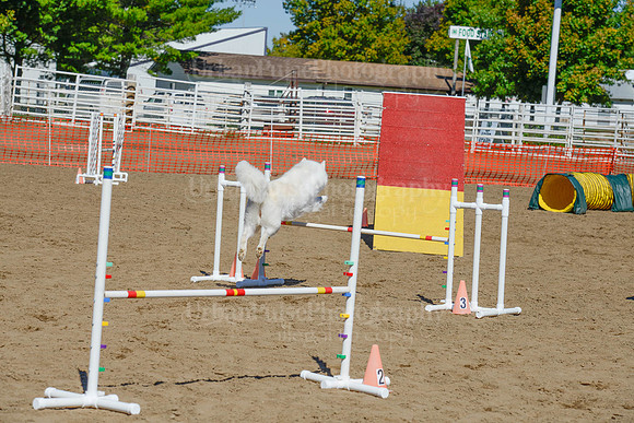 AGILITY-2314