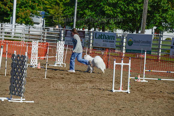 AGILITY-2160