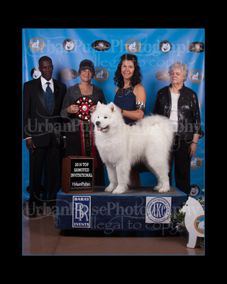 2016 TOP S AWARD-8516