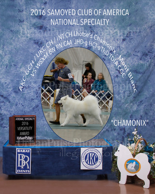 2016 VERSATILITY AWARD 2