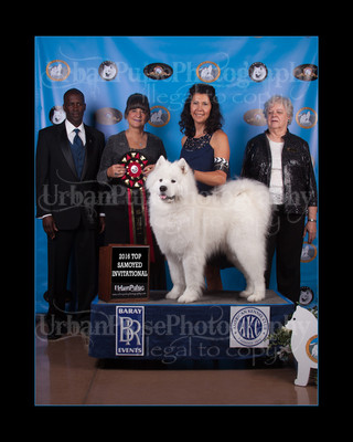 2016 TOP S AWARD-8517