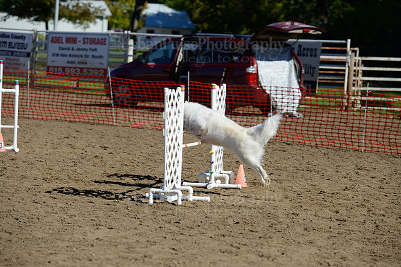 AGILITY-1990