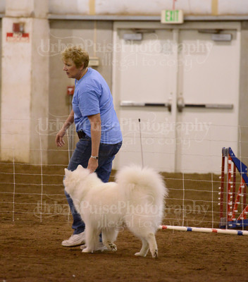 SCA2016_AG MON FAST NOVICE-3537