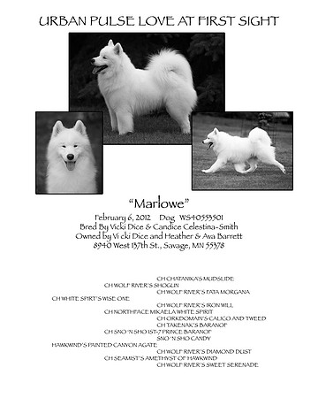 MARLOWE PEDIGREE PAGE