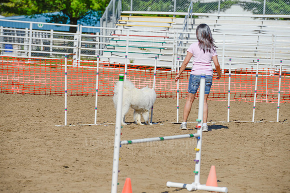 AGILITY-2258