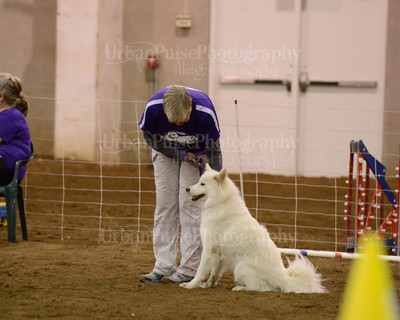 SCA2016_AG MON FAST NOVICE-3564