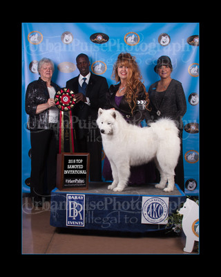 2016 TOP S AWARD-8548