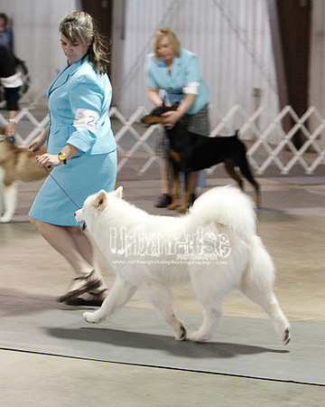 Fargo_2011-4192