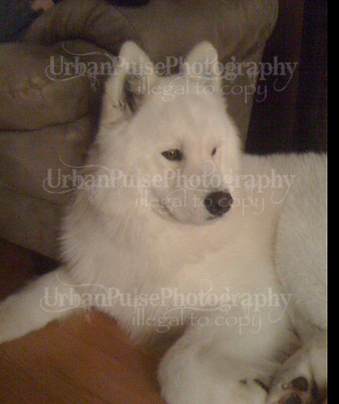 MARLOWE
