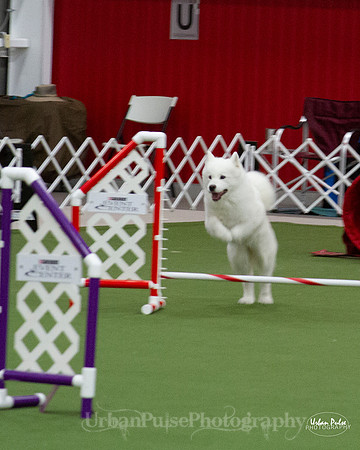 AGILITY_9460