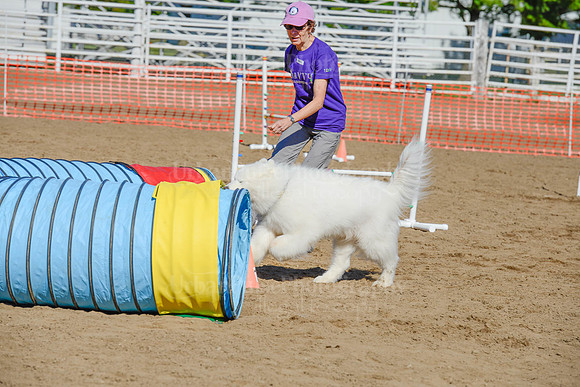 AGILITY-2196