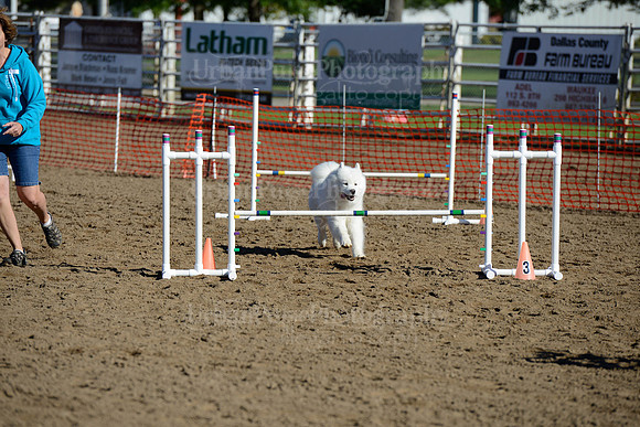 AGILITY-1877