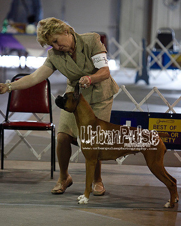 Fargo_2011-4158