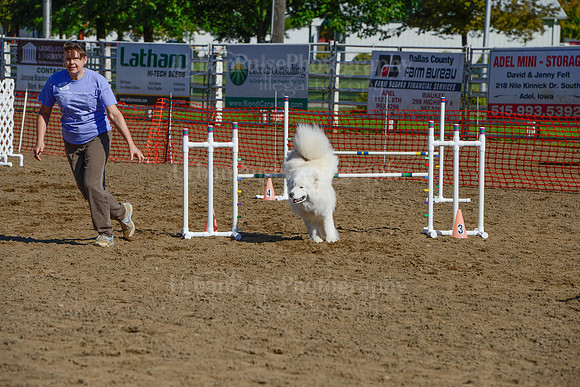 AGILITY-2112