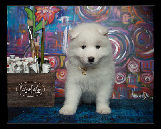 MaterxMaya5.5wks-8640