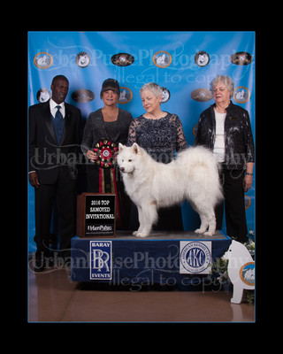 2016 TOP S AWARD-8526