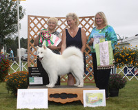 Agate_Best Veteran Sweeps_2014