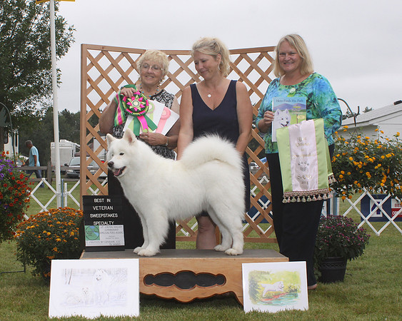 Agate_Best Veteran Sweeps_2014