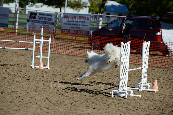 AGILITY-1923