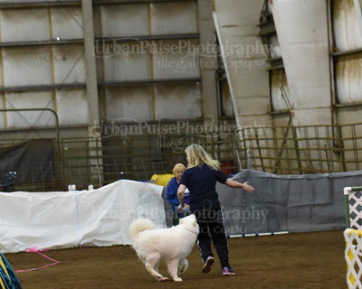 SCA2016_AG MON FAST NOVICE-0123