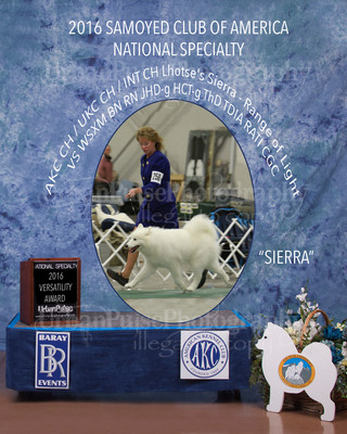 2016 VERSATILITY AWARD 1
