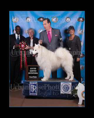 2016 TOP S AWARD-8544
