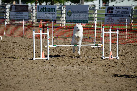AGILITY-1878