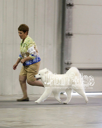 Fargo_2011-4502