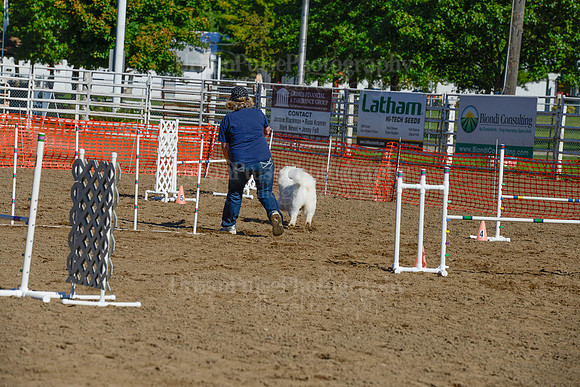 AGILITY-2047